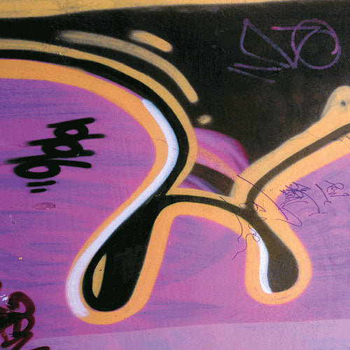 Abbeizer Speed BRENNOFIX zur Grafitti Entfernung